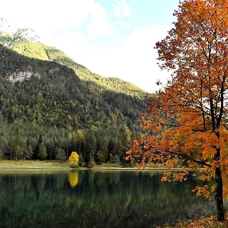 Ferienwohnung Saalbach Fieberbrunn Εξωτερικό φωτογραφία