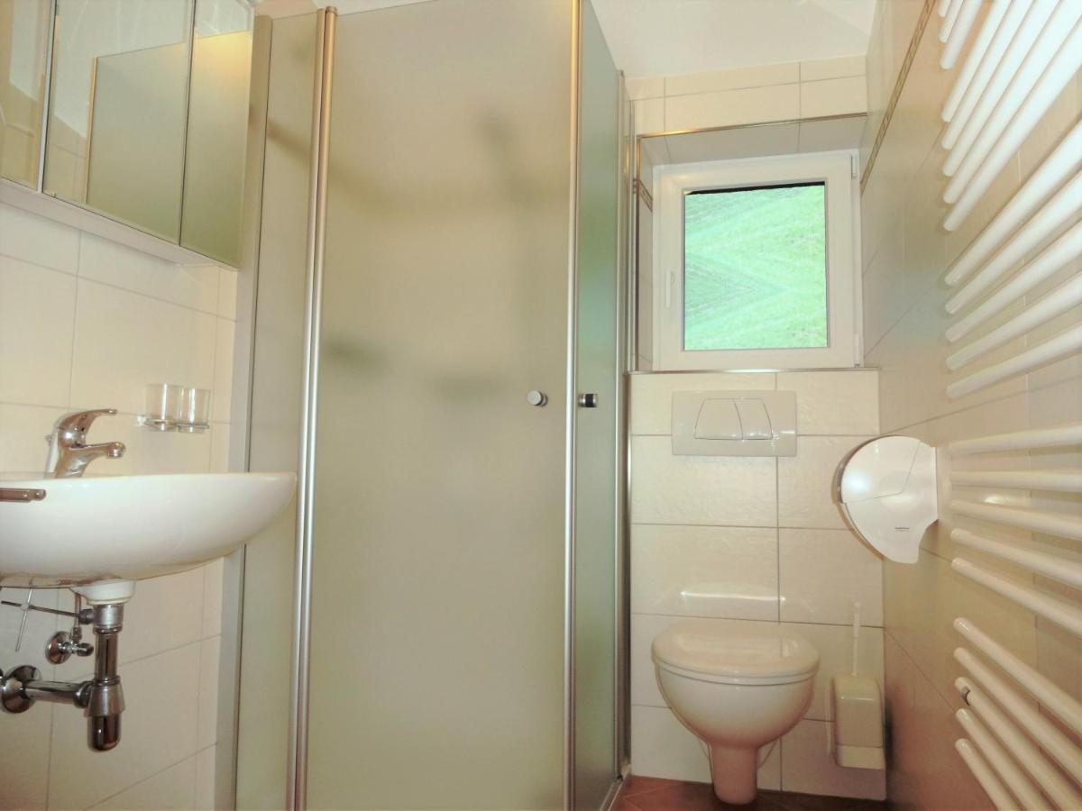 Ferienwohnung Saalbach Fieberbrunn Εξωτερικό φωτογραφία