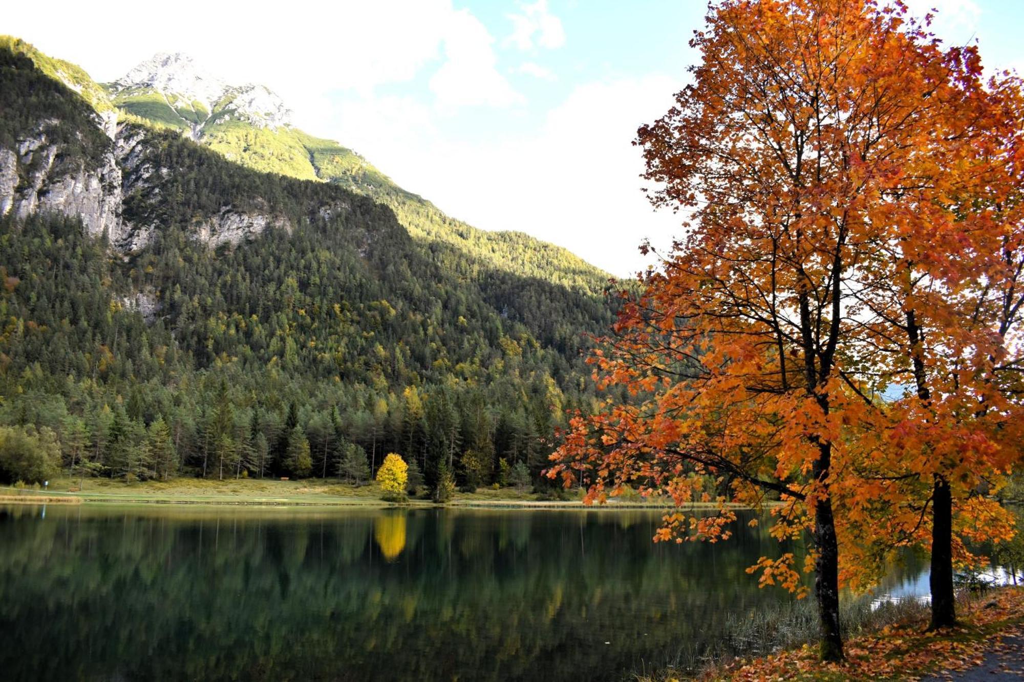 Ferienwohnung Saalbach Fieberbrunn Εξωτερικό φωτογραφία
